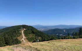 Grey Apartamenty Przy Skoczni & Ski Bus